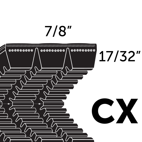 CX Series Belt