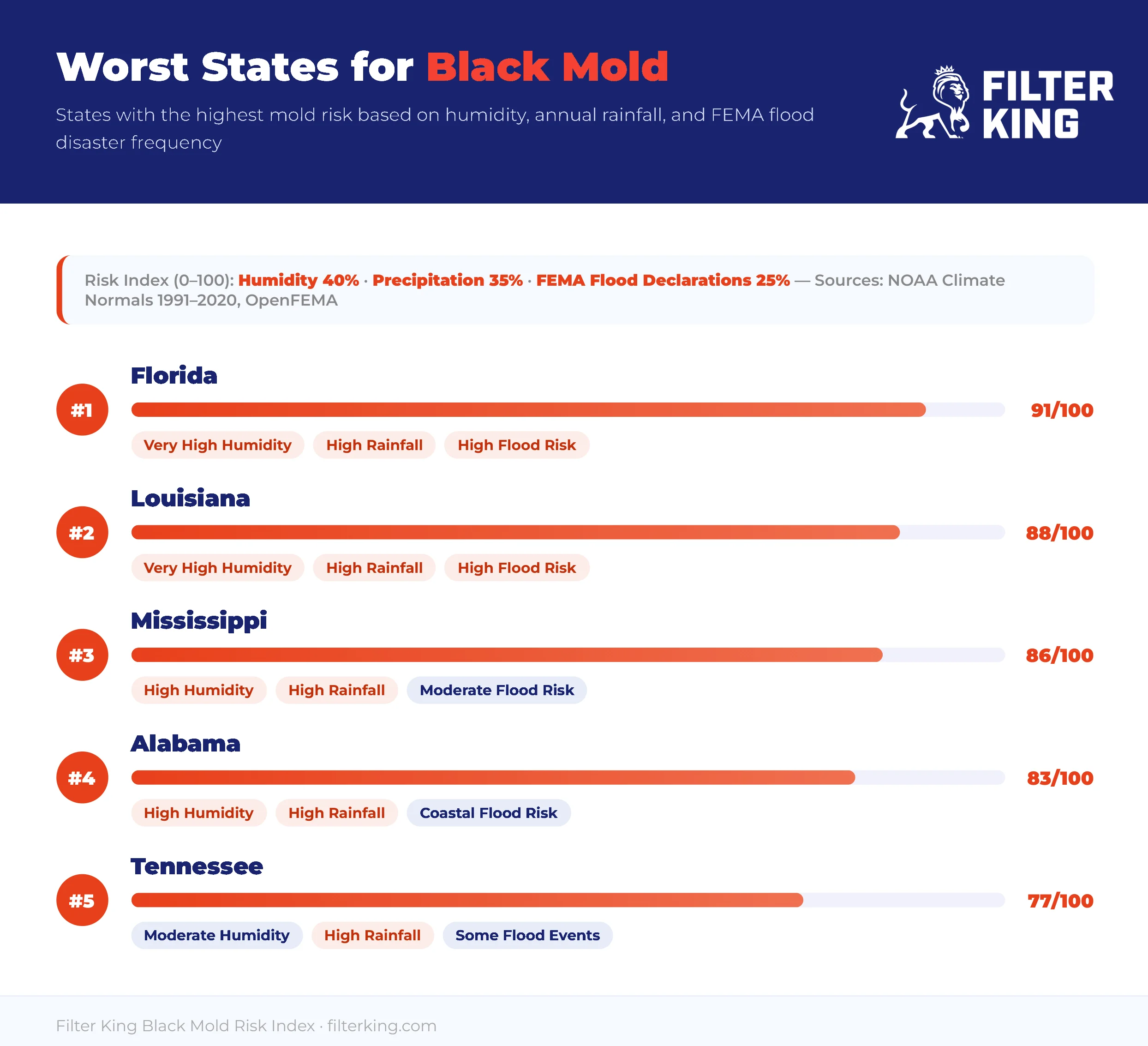 Worst states for black mold