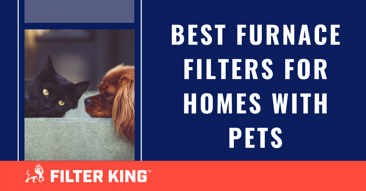 best furnace filters for home with pets
